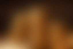 Фотография квеста Золотая лихорадка от компании выХод (Фото 1)