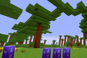 Фотография квеста Майнкрафт и Архизлодеянин от компании Киноквест (Фото 1)